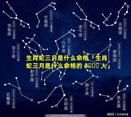 生肖蛇三月是什么命格「生肖蛇三月是什么命格的 🐋 人」